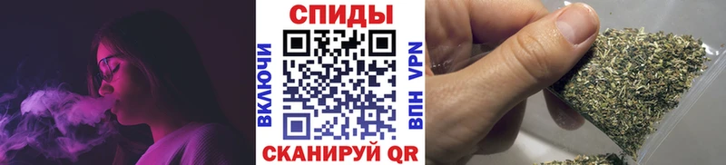 Купить закладки  Жуковка  Бутират вода 