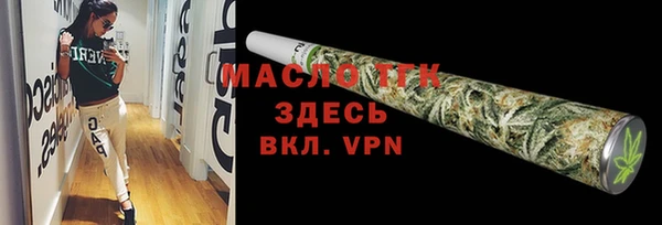 прущие грибы Инсар