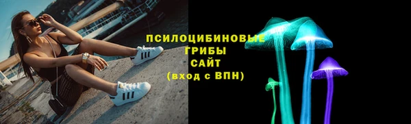 гашик Зерноград