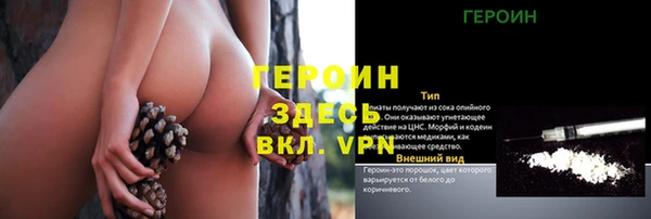 гашик Зерноград