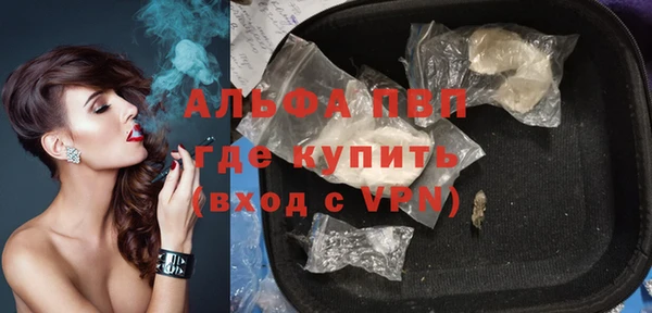 прущие грибы Инсар