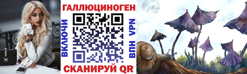 Псилоцибиновые грибы Psilocybine cubensis  Купить  Жуковка 
