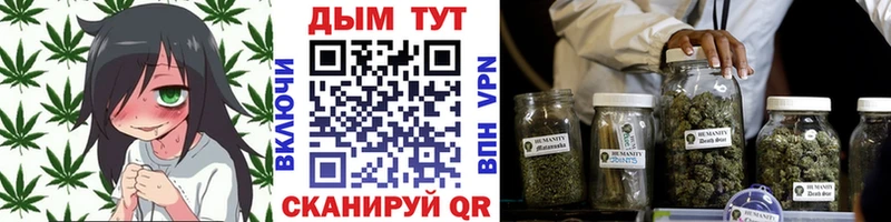 Купить где  Жуковка  Канабис ГИДРОПОН 